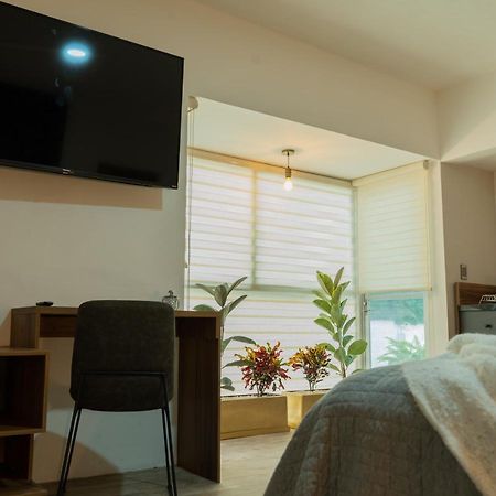 Reforma - Suite 4 De Lujo En Naploes Cama Queen Size Meksyk Zewnętrze zdjęcie